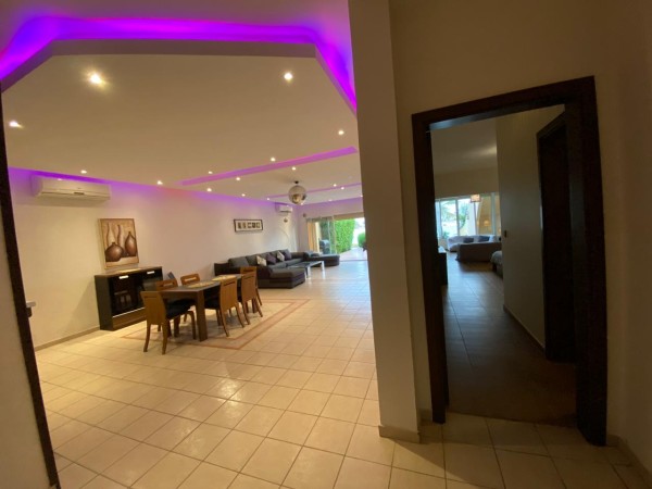 Spanish Moss Event Design